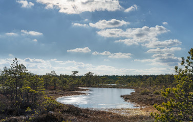 Raised bog in early spring, some pools are still frozen, some are already open and reflect the sky and bonsai size pine trees. Bright day with blue sky and white clouds.