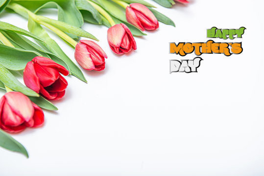 Flat lay of red tulips isolated on white for one corner side with copy space and text happy mother day