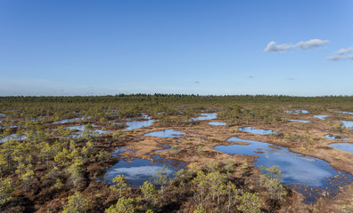 Aerial view, raised bog in early spring, some pools are still frozen, some are already open and reflect the sky and bonsai size pine trees. Bright day, blue sky and white clouds. Endla Nature reserve.