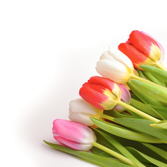 Bouquet of fresh, bright, multi-colored tulips on a white background, isolated.