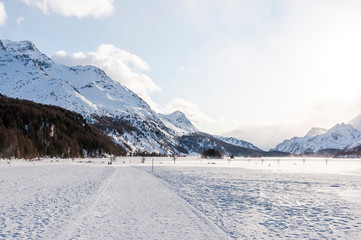 Sils, Silsersee, Langlauf, Langlaufloipe, Maloja, Malojawind, Piz da la Margna, Winter, Wintersport, Winterwanderung, Abendstimmung, Oberengadin, Alpen, Graubünden, Schweiz