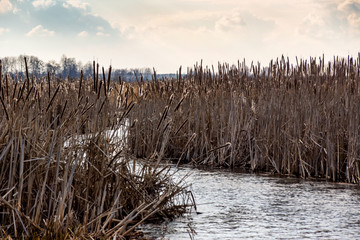 Wieś Jagłowo nad Biebrzą, Biebrzański Park Narodowy. Podlasie, Polska © podlaski49