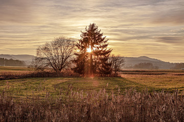 Sonnenuntergang über dem Homburger Biotop-Saarland-Germany