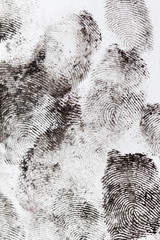 fingerprints on a white background