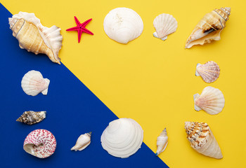 Summer sale. White seashells, red starfish in shape frame isolated on blue, yellow background. Hello Summer is coming concept