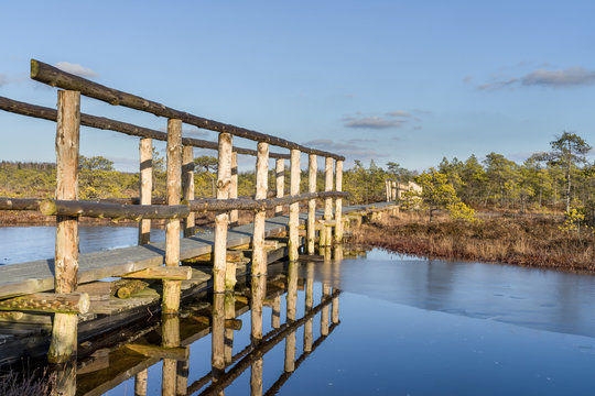 Wooden pathway bridge over frozen bog lake. Early spring. Ice and water reflect the construction and blue sky. Bbonsai size pine trees. Endla Nature reserve to protect vulnerable environment.