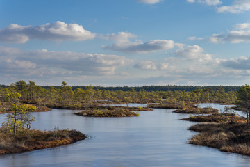 Raised bog in early spring, some pools are still frozen, some are already open and reflect the sky and bonsai size pine trees. Bright day with blue sky and white clouds.