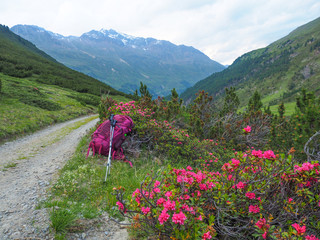 Fernwandern zwischen Ötztal und Schnalstal