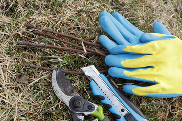 Set of gardening equipment. Accessories for pruning and grafting the garden in early spring:...