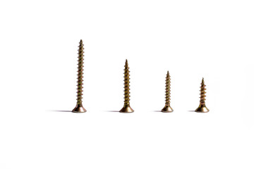 Wood screws on white background