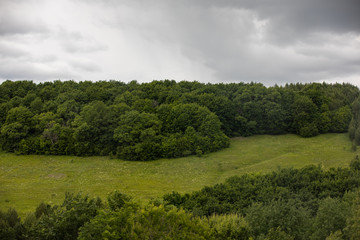 Fototapeta na wymiar thunderstorm sky landscape with green hill and tree forest 