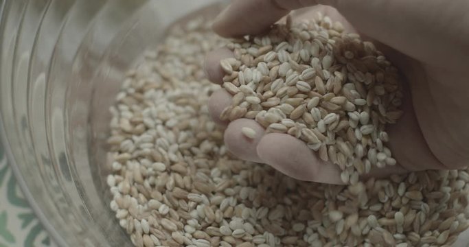 caduta e mani che selezionano orzo e farro
