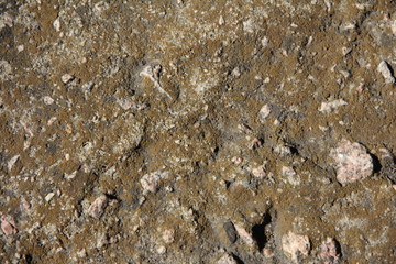 Relief texture of the stone. Gray stone.