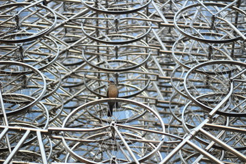 Escultura metal de bicicletas 