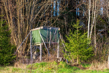 tent in the forest