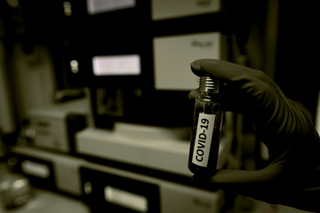 Scientist holding Test tube with blood sample for COVID-19 test,Experiment to detect virus was...