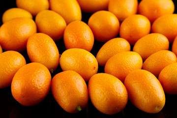 Kumquat , small oval citrus fruits, nagami variety