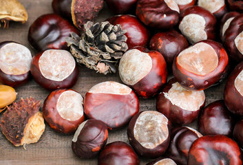 Kastanien liegen auf einem Tisch und bilden eine Herbstdekoration