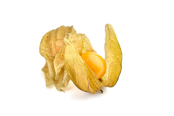 Physalis peruviana berries (ground cherries, Cape gooseberry, poha berries) isolated on a white background