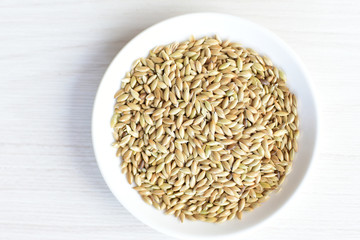 Seed of birdseed, food for birds, displayed in containers on white wooden background