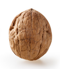 Walnut isolated on white background with clipping path