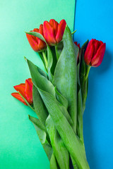 Red tulip flower arrangement, on blue background.