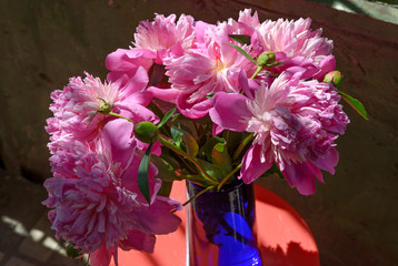 Bunch of peonies in blue glass vase on red stool.
