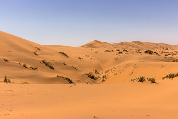 Fototapeta na wymiar preety desert dunes landscape view