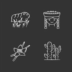 Peru chalk white icons set on black background. Incas country features. Guinea pig, peruvian girl, vanilla, cactuses. Traveling in South America. Isolated vector chalkboard illustrations
