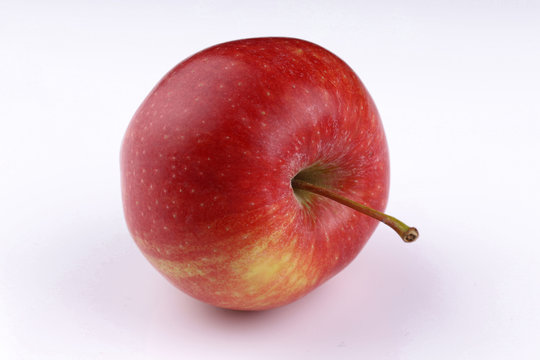 Colorful apple best sale