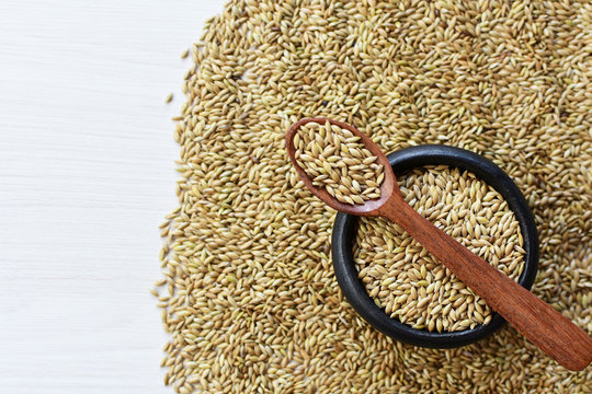 Seed of birdseed, food for birds, displayed in containers on white wooden background