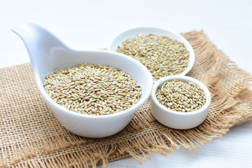 birdseed seeds, food for birds, displayed in containers on cloth bottom