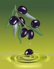 Olive oil with branch. Realistic 3d fruits. Drop of oil splash.