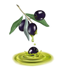 Olive oil with branch. Realistic 3d fruits. Drop of oil splash.