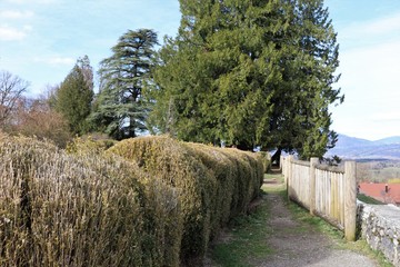 Parc du château de l'échelle dans La Roche sur Foron - ville La Roche sur Foron - Département Haute Savoie - France - Grand espace vert