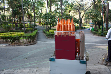 Fototapeta na wymiar Sunken park in Mexico city where you can see an urban grape harvest cart with ice cream cones