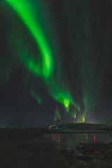 Northern Lights - Aurora Borealis in Senja  NORWAY  - obrazy, fototapety, plakaty
