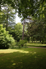 Kurpark im Sommer