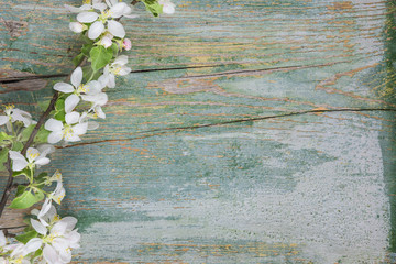 White flowers on blue wooden background