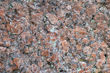 Wet granite rock texture