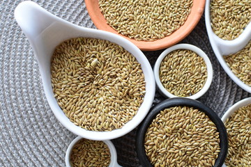 birdseed seeds, food for birds, displayed in containers on cloth bottom