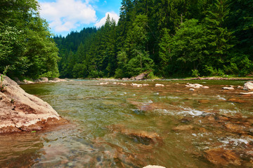 landscape, beautiful view of mountain river in summer day, fast flowing water and rocks, wild nature