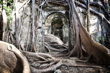 Abandoned prison, Guadeloupe