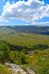 Fototapeta na wymiar Top view of the hills, valley, coniferous and mixed forests. Trees, pines, grass, bushes, stones and blue sky with white clouds. Beautiful mountain landscape on a sunny summer day. Vertical photo.