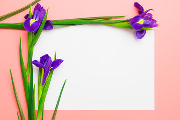 Spring frame with copy space