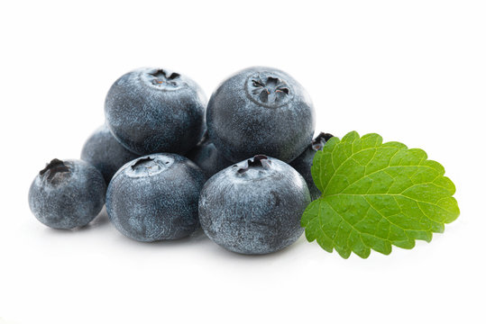 Fresh blueberries and lemon balm isolated against white