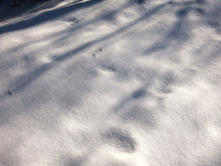 snow is silvered days under the sun 's rays