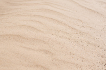 Fototapeta na wymiar Sand texture. yellow sand. Background of fine sand. Sand background