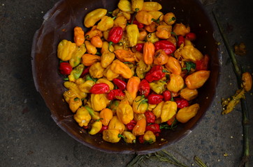 Chilies/ Peppers