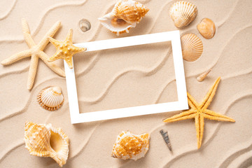 Fototapeta na wymiar Minimal Frame summer background, Sand shells Seastar vacation and travel concept, Flat lay top view copy space